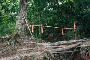 BIB: 
                            <button type="button" onclick="openModal(27801659)" class="btn btn-primary btn-sm float-right btn-popup" data-toggle="modal" data-target=".modal-high-quality">
                        <i class="fas fa-shopping-cart"></i> Add to Cart
                    </button>
                                            <button type="button" onclick="isThisMe(27801659, true)" class="btn btn-success btn-sm float-right btn-popup btn-isme hidden" data-toggle="tooltip" data-placement="bottom" title="นี่คือรูปของคุณใช่ไหม คลิกที่นี่เพื่อเอาเข้าอัลบั้ม">
                        <i class="fas fa-plus"></i> Add to album
                    </button>
                    <button type="button" onclick="isThisMe(27801659, false)" class="btn btn-warning btn-sm float-right btn-popup btn-isnotme hidden">
                        <i class="fas fa-ban"></i> Remove from album
                    </button>